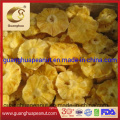 Wholesale Supply Dried Pineapple Rings in Bulk